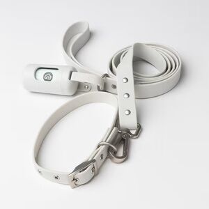 3-pc set: Diggs Dog Leash, Collar, and Bag Dispenser - Green - Medium
